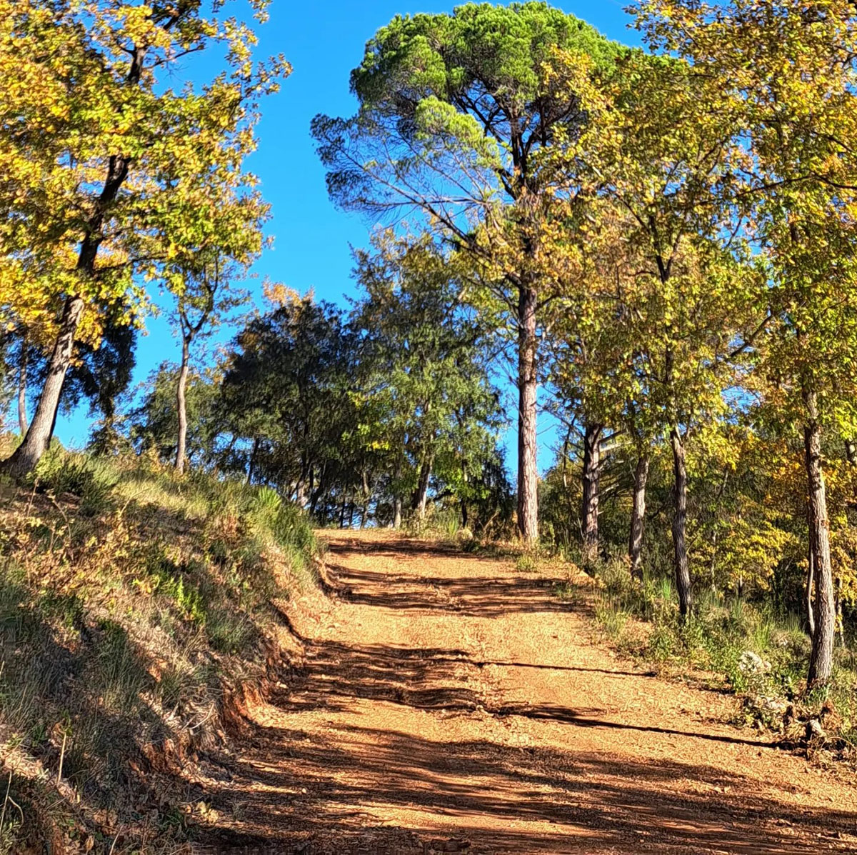 CHEMIN BALADE - Les hauts du peireguier